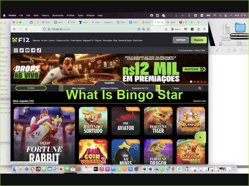 Описание и принцип работы игры Bingo Star