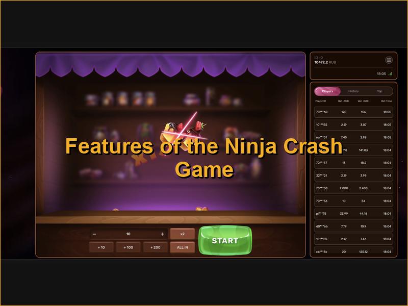 Características y particularidades del juego Ninja Crash